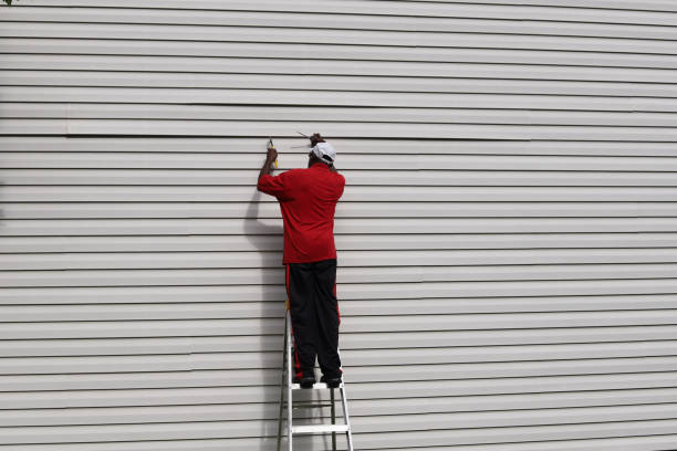 Best Vinyl Siding Installation  in Weirton, WV