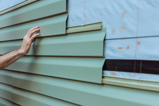 Best Fascia and Soffit Installation  in Weirton, WV